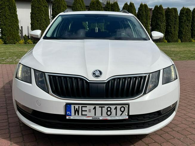 Škoda Octavia 1.6 TDI | 115 KM | Salon PL | jeden właściciel| Serwis ASO | OKAZJA