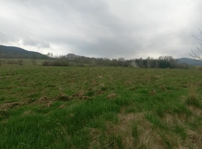 WIŚNIOWA -DZIAŁKA BUDOWLANA 40 ar