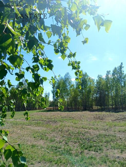 Działka przy lesie-cisza i przestrzeń