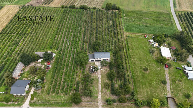 Na sprzedaż działka 0,9 ha z domem 280 m² – Świdno