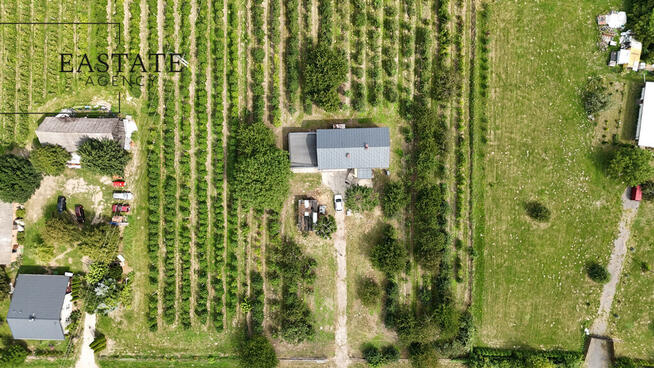Na sprzedaż działka 0,9 ha z domem 280 m² – Świdno
