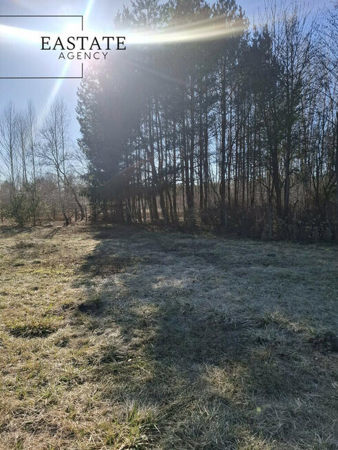 Działka budowlana - las, cisza, natura