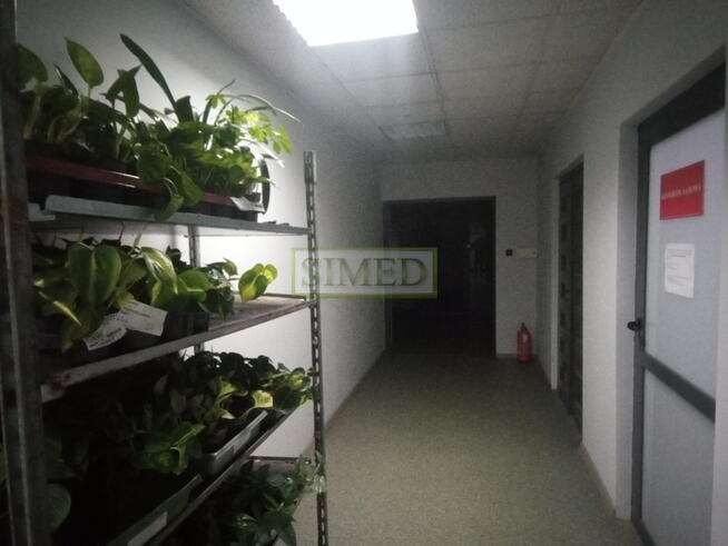 Pracownia,biuro,dostęp24h,ochrona,parking,winda to