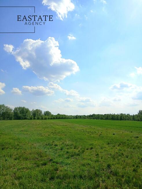 Działka wśród zieleni