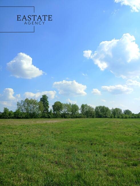 Działka wśród zieleni
