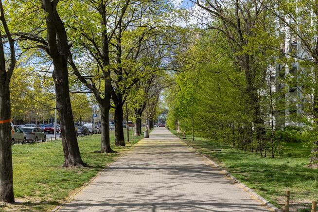Mieszkanie Warszawa Praga-Północ, Jagiellońska