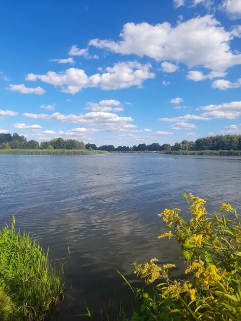 Działka budowlana Kania Nowa gm. Serock