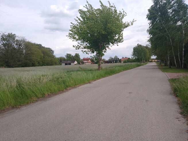 Działka budowlana Niesułków-Kolonia gm. Stryków