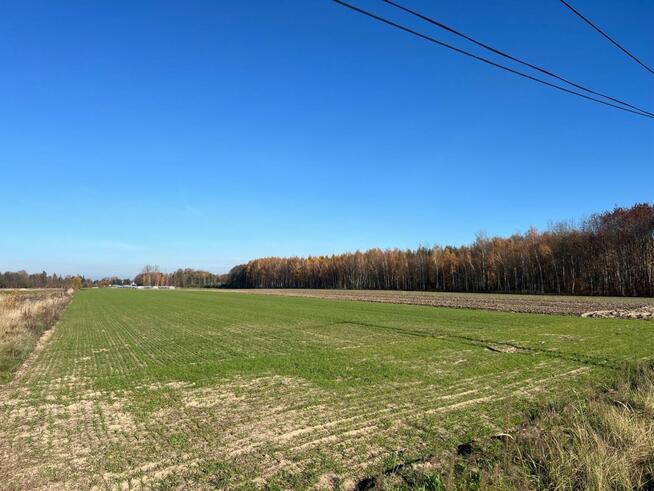 Działka Wola Gutowska gm. Jedlińsk