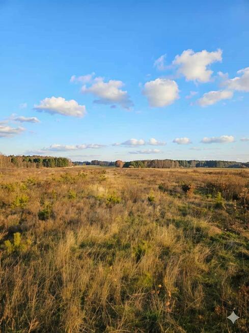 Działka Narty gm. Jedlińsk