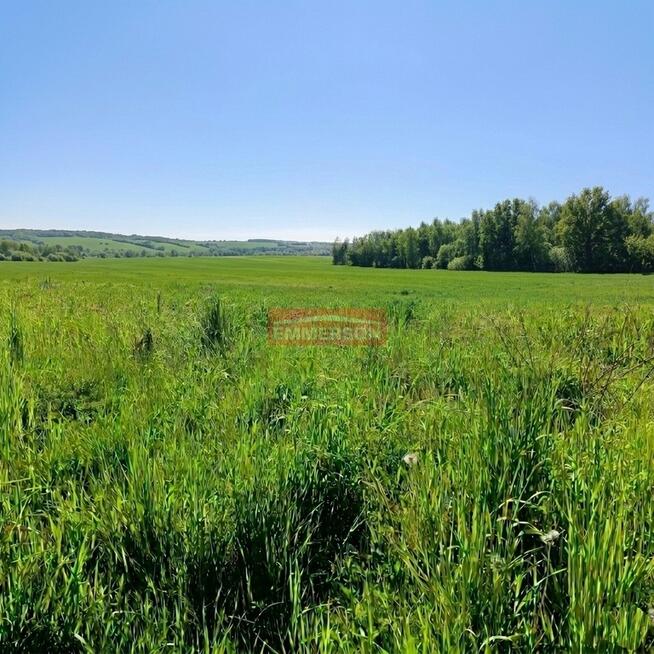 Widokowa, budowlana 1200 m2- Minoga ( gm. Skała)