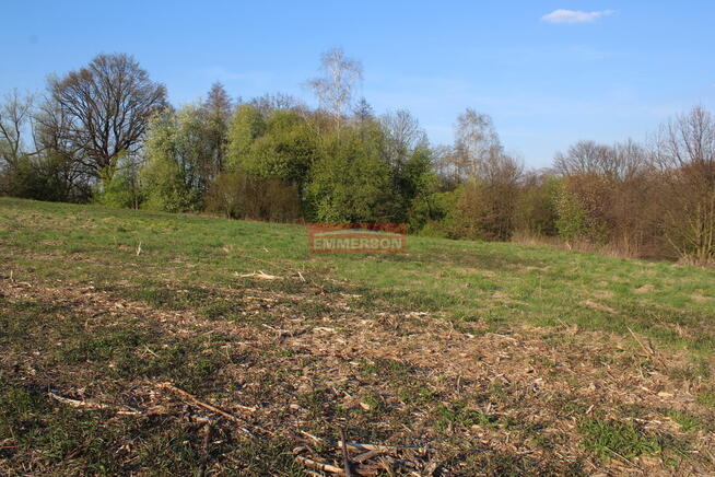 Działka komercyjno-bud. z lasem - 2,44 ha Libertów