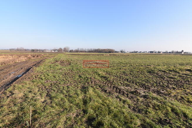 1,018 ha pod inwestycję jednorodzinną- Kraków