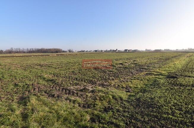 1,55 ha pod inwestycję jednorodzinną- Kraków-Nowa