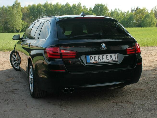 BMW 520 F10 F11 2.0 D 218 KM Automat BIXENON Skóra KAMERY Navi SERWIS Hak !