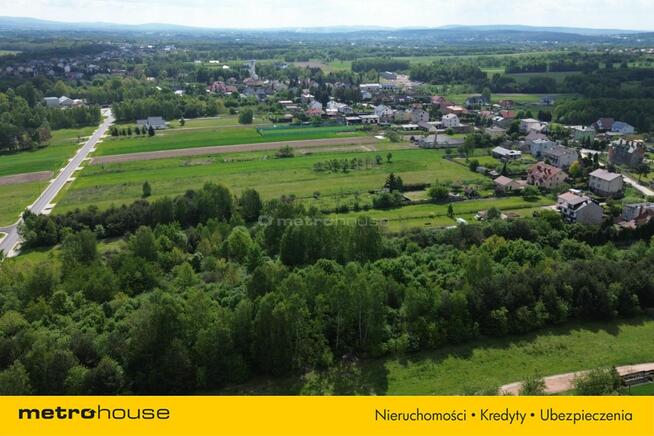 1003 m² las 2 min od zalewu Cedzyny