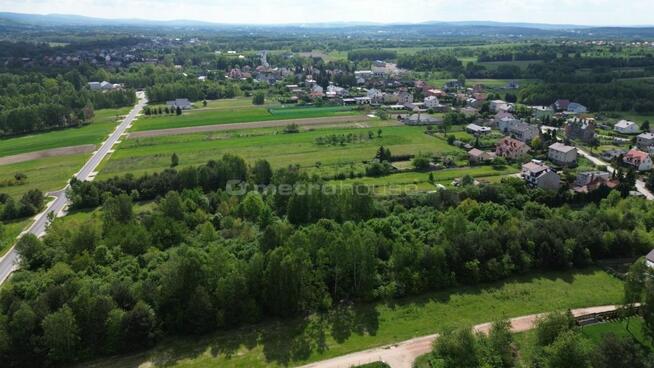 1003 m² las 2 min od zalewu Cedzyny