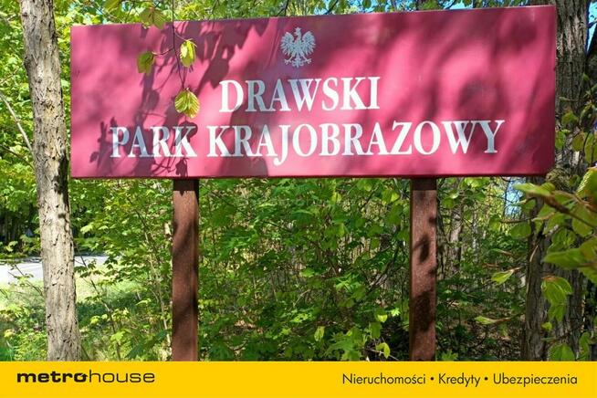 Dom w lesie blisko jeziora w Parku Krajobrazowym