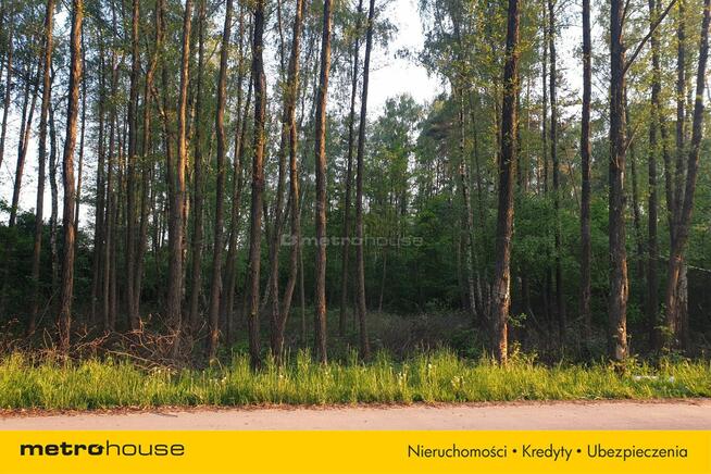 Książenice Działka leśna 4000m2 pod rezydencję