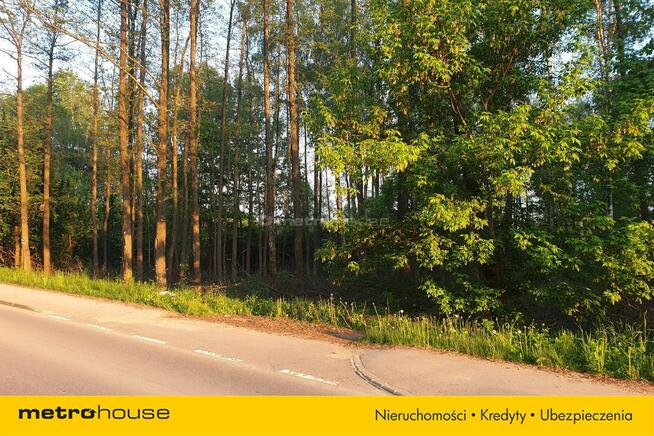 Książenice Działka leśna 4000m2 pod rezydencję