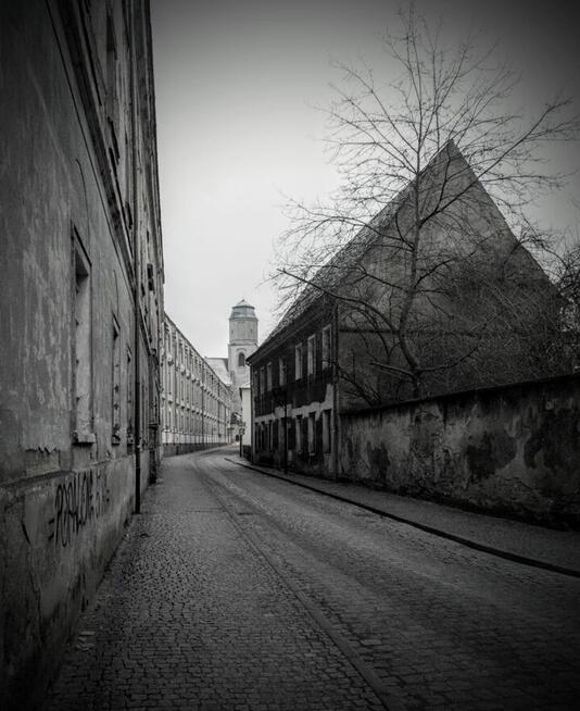 FOTOGRAF do wynajęcia. Szeroki zakres usług.