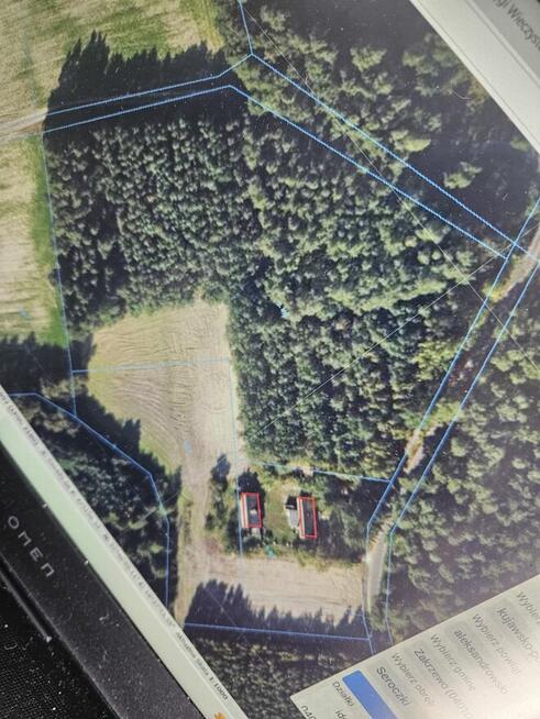 Las sosnowy 2,48ha przy asfalcie Seroczki prywatne