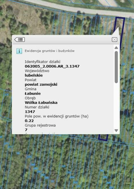 Stary Las bukowo-grabowo-dębowy
