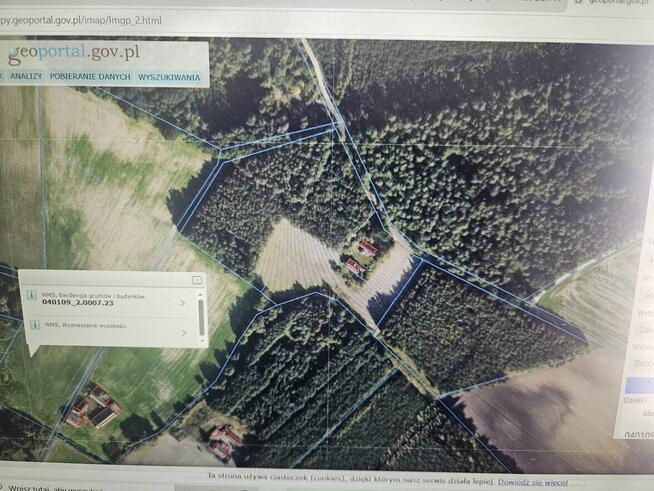 Las sosnowy 2,48ha przy asfalcie Seroczki prywatne