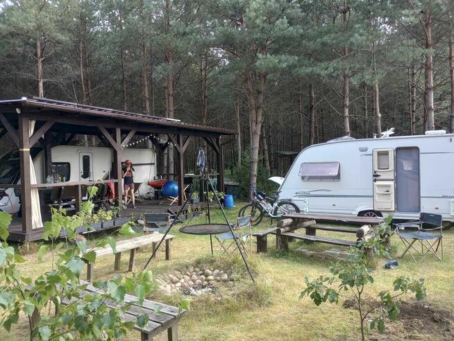 Sprzedam działkę 3000 m2 w kompleksie działek leśnych.