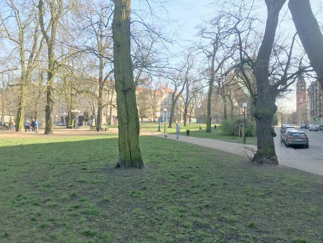 Mała kawalerka w parku, scisłe centrum na Szczec, Swinoujscie