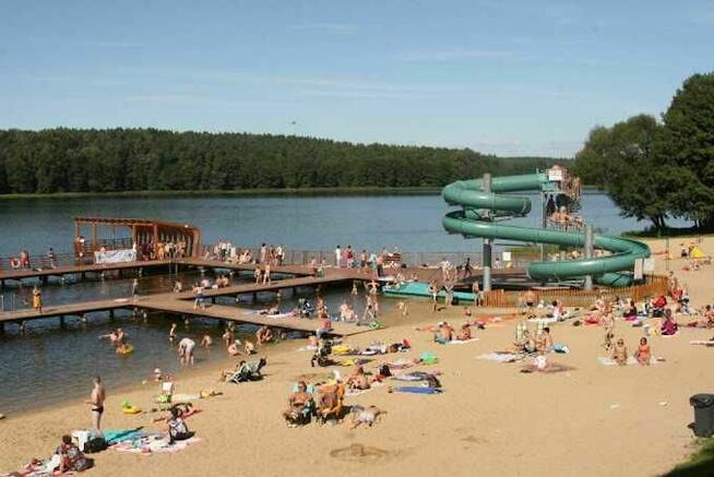Sprzedam działkę 3000 m2 w kompleksie działek leśnych.