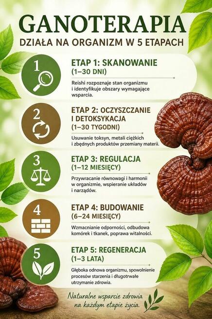Szczerze? Sama nie wierzyłam, dopóki nie spróbowałam !