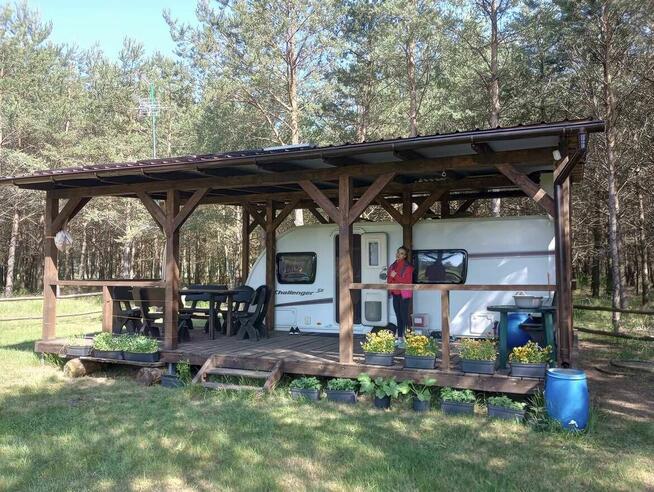 Sprzedam działkę 3000 m2 w kompleksie działek leśnych.
