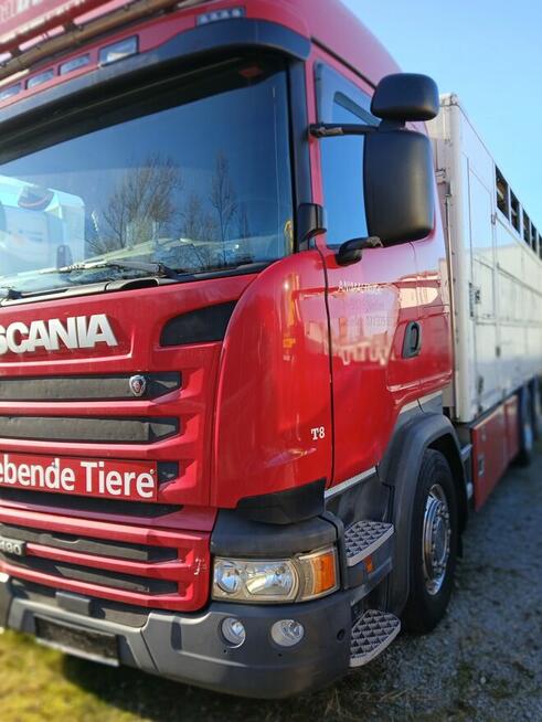 Do przewozu zwierzat 2 poz Scania