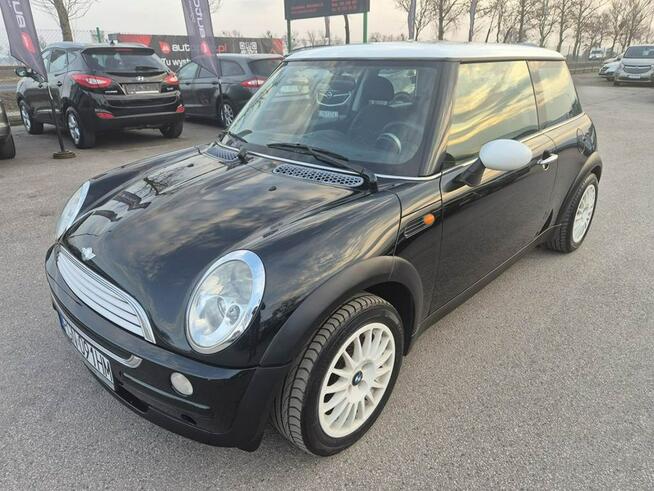 1.6B Ładny Miniaczek
