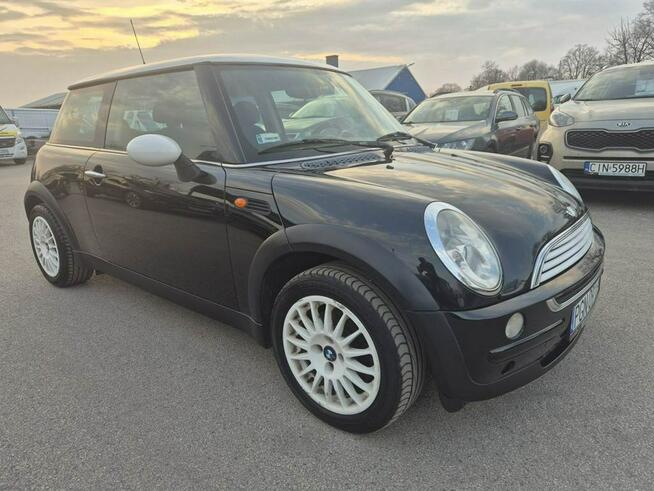 1.6B Ładny Miniaczek
