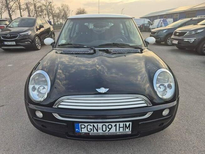 1.6B Ładny Miniaczek