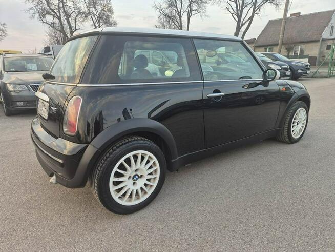 1.6B Ładny Miniaczek