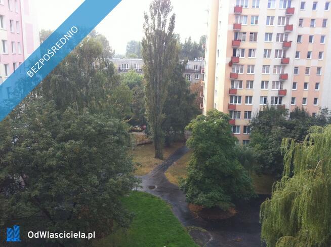 Przytulna kawalerka, blisko park, dobry dojazd do Centrum, Bezpośrednio
