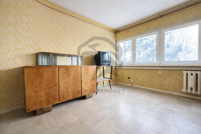 44m² potencjału z lasem za oknem