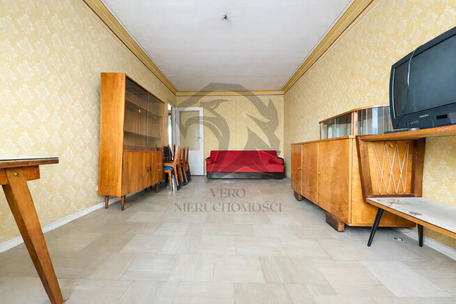 44m² potencjału z lasem za oknem