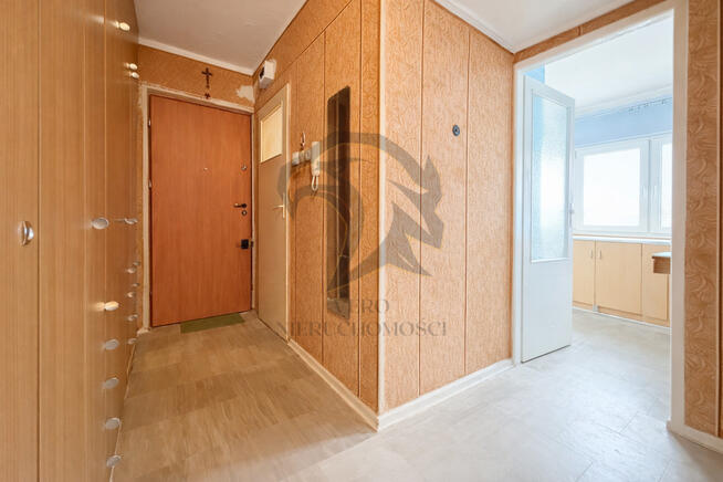 44m² potencjału z lasem za oknem