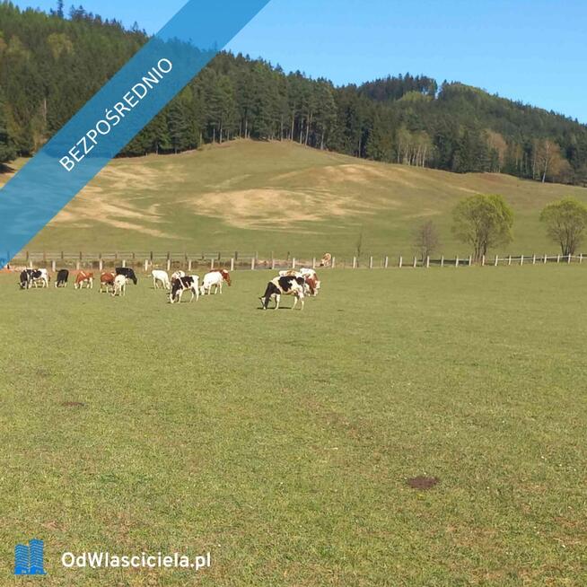 sprzedam gospodarstwo rolne