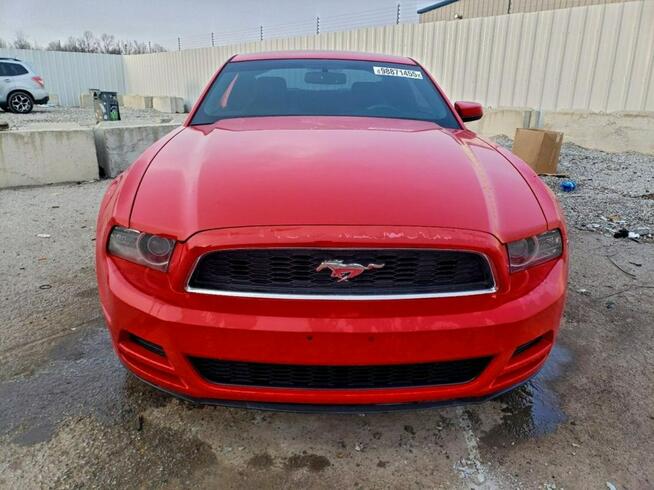 Ford Mustang / 3.7 305KM / Bogate wyposażenie / Niski przebieg /