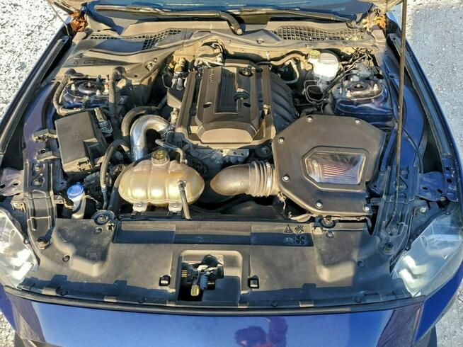 Ford Mustang / 2.3 317KM / Niski przebieg /
