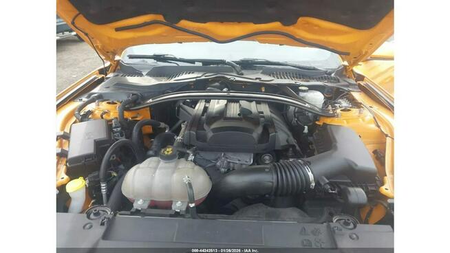 Ford Mustang / automat / niski przebieg /