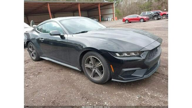 Ford Mustang / ECOBOOST PREMIUM FASTBACK / 2.3 317KM / virtual cockpit /