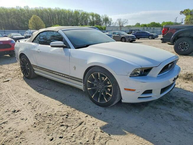 Ford Mustang / cabrio / niski przebieg / automat /