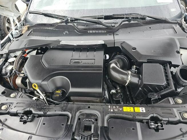 Land Rover Range Rover Evoque R-Dynamic S / AWD / niski przebieg / mała szkoda