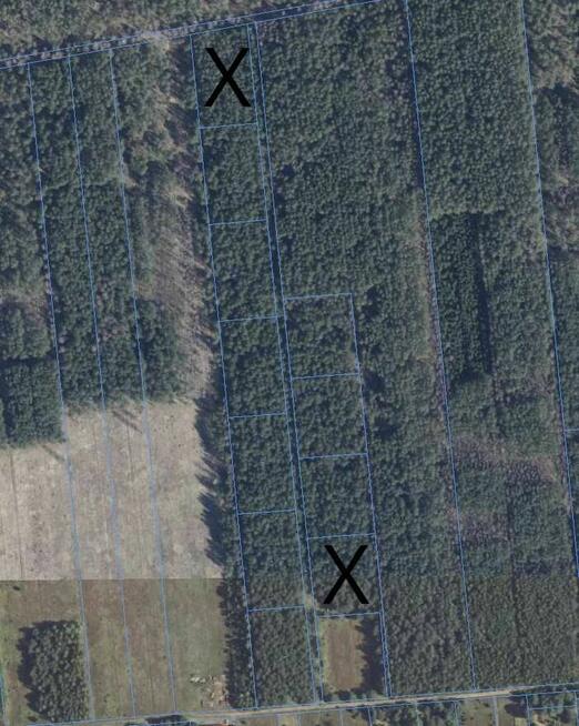 Sprzedam działkę 3000 m2 w kompleksie działek leśnych.